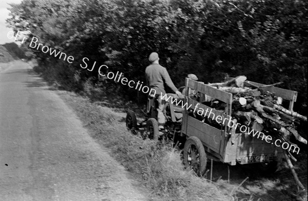 RURAL SCENE LOAD OF FIREWOOD